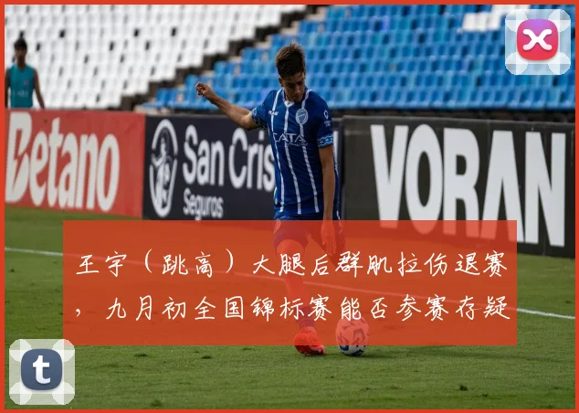 王宇(跳高)大腿后群肌拉伤退赛,九月初全国锦标赛能否参赛存疑
